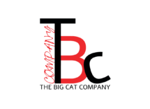 The Big Cat Company Logo